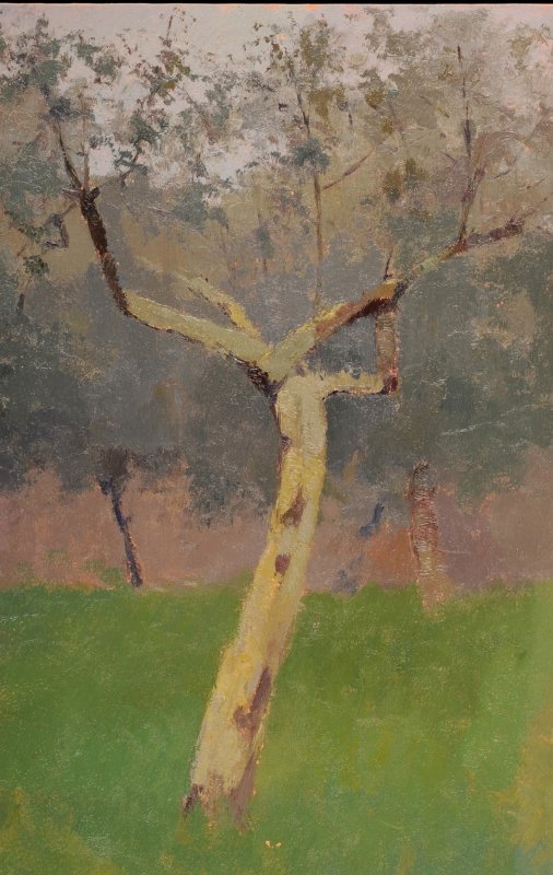 1907 - Albero